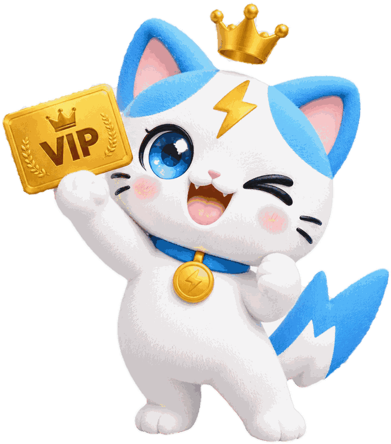 电电喵 · VIP 极速发货